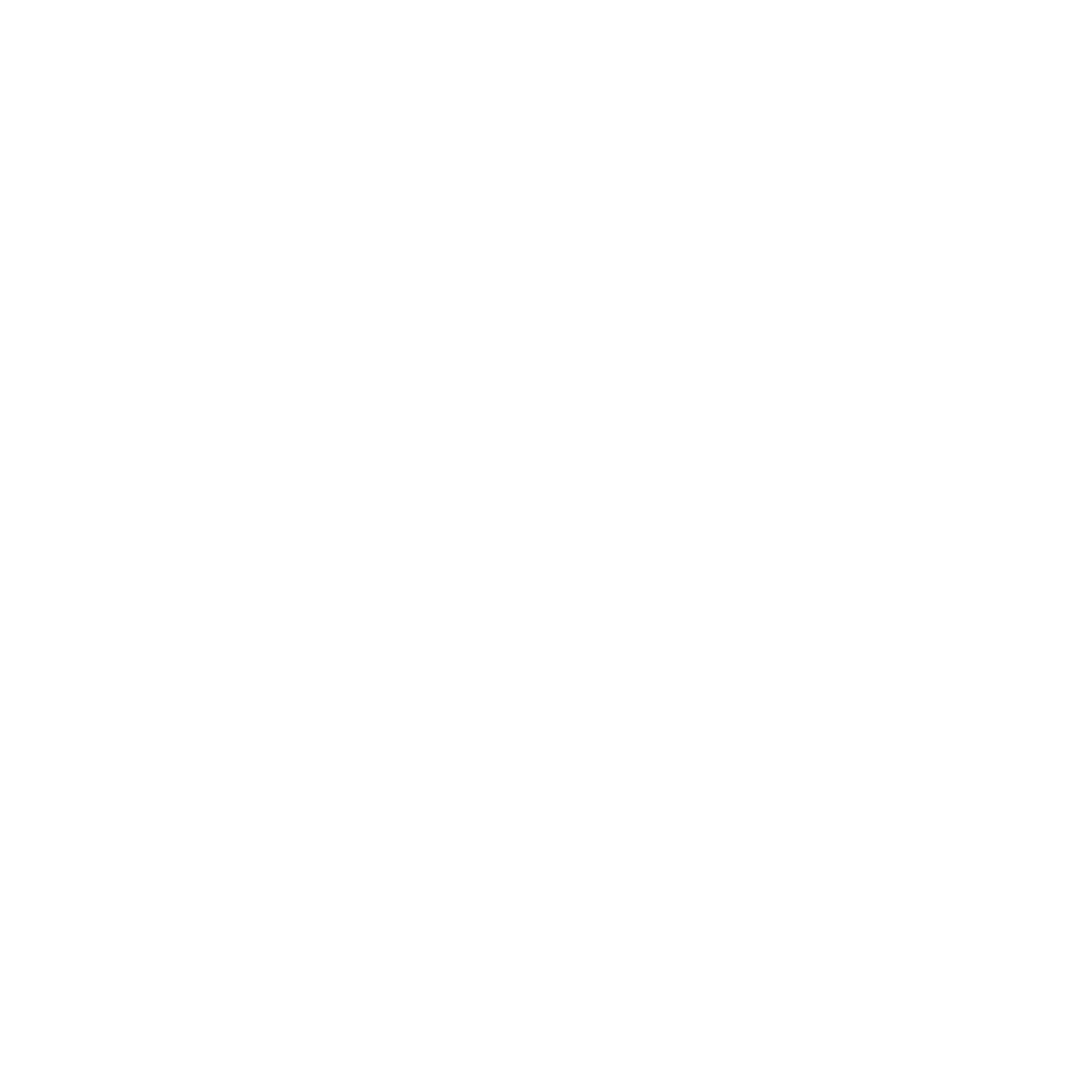 OldWestSolutions Logo